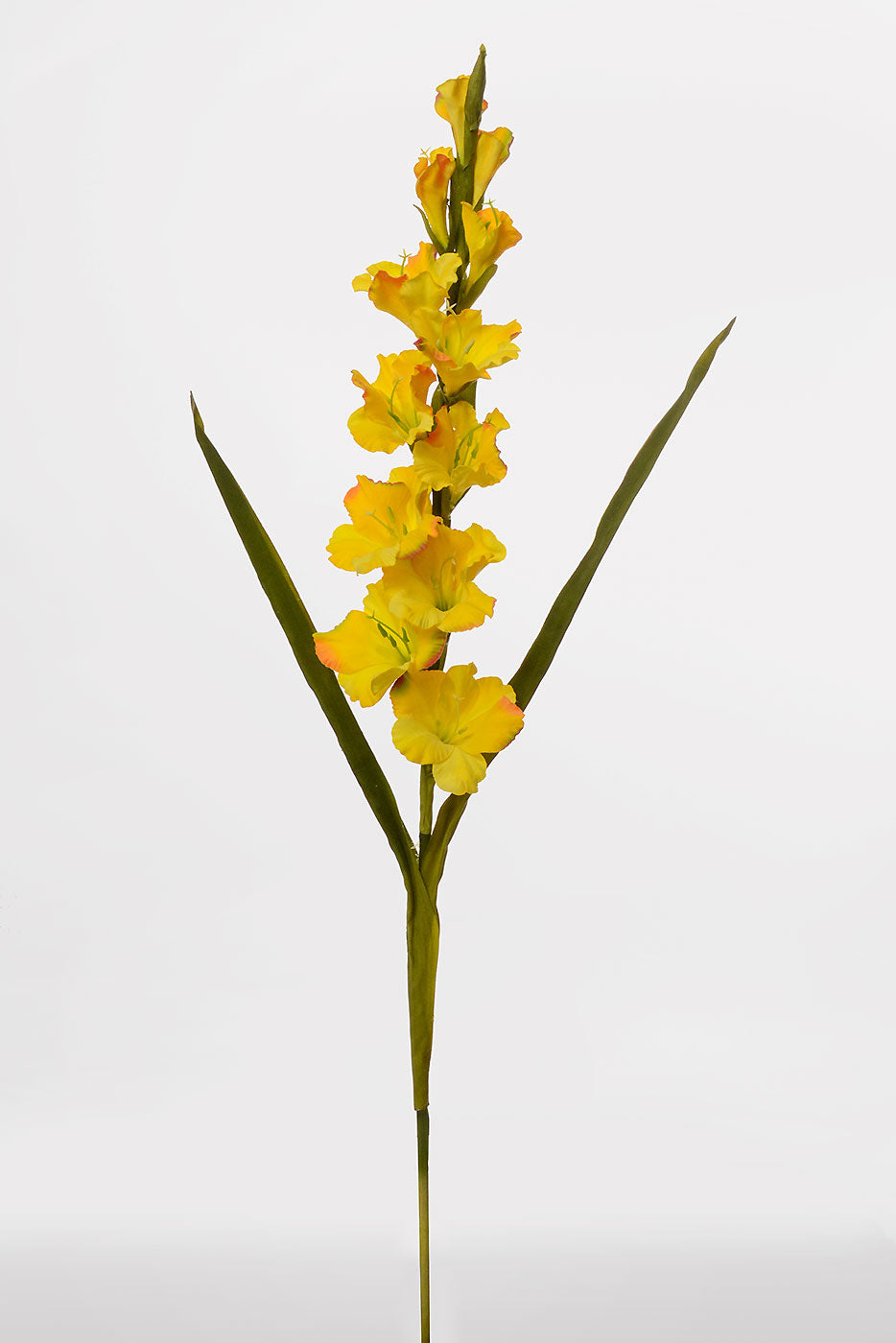 36" Silk Gladiolus Yellow