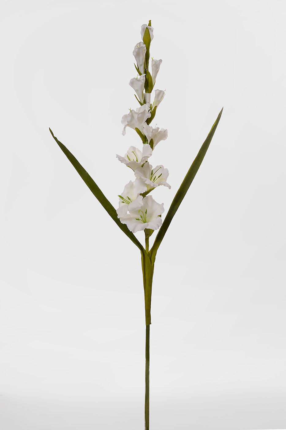 36" Silk Gladiolus White