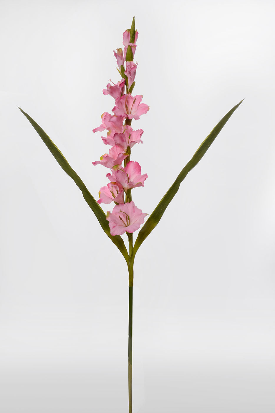 36" Silk Gladiolus Pink