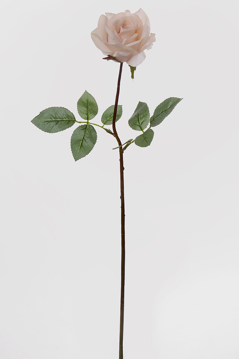 27" Silk Real Touch Rose Mauve