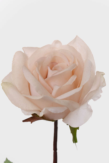 27" Silk Real Touch Rose Mauve