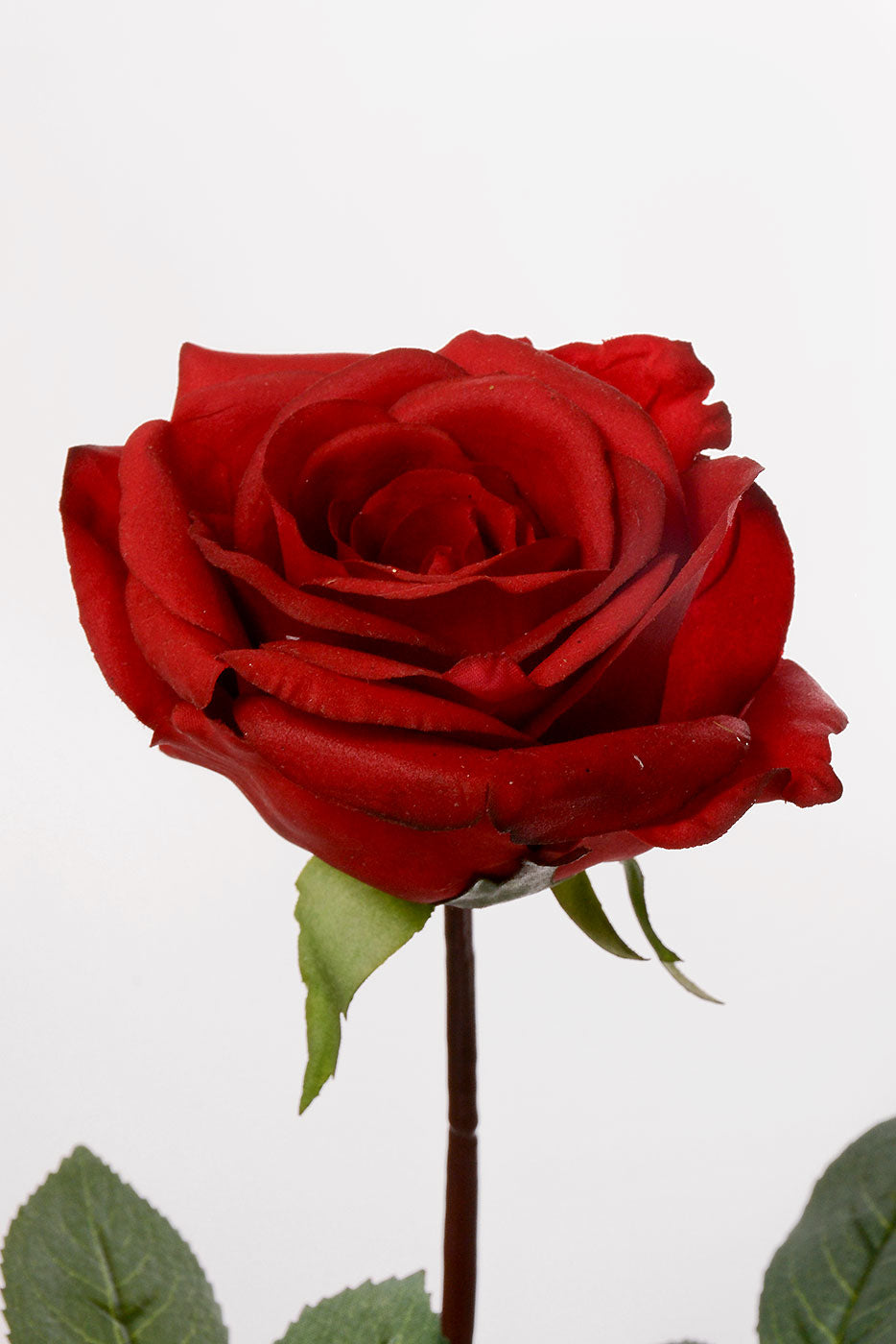 27" Silk Real Touch Rose Red