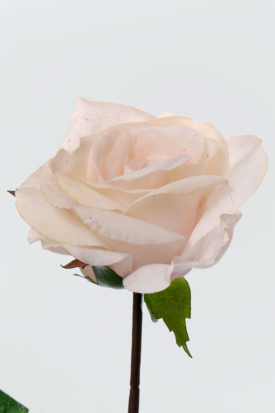 27" Silk Real Touch Rose Pink