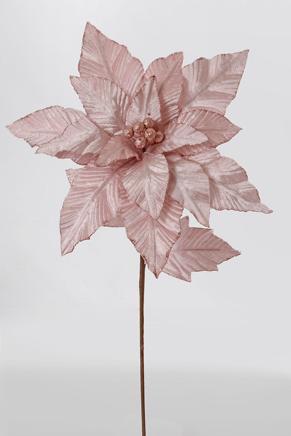 24" Velvet Poinsettia With Glitter Edge Stem blush
