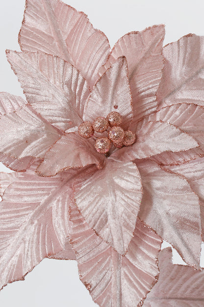 24" Velvet Poinsettia With Glitter Edge Stem blush