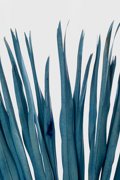 32"  Whole Dried Palm Blue  PKG/3