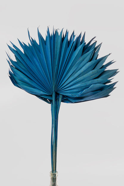 24.5" Dried Small Sun Palm Pkg/5 Blue