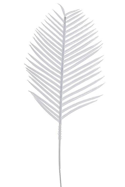 6" Cycus Leaves White Bx/144