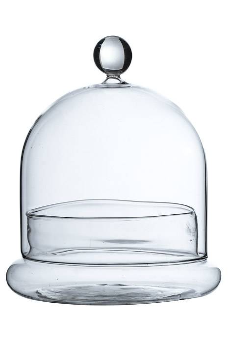 6.5" Terrarium Glass Cloche Clear