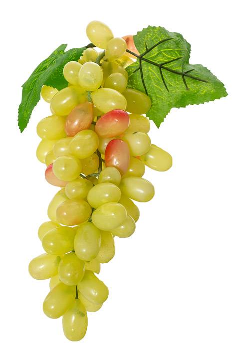 12" Grape Cluster W/leaves Yellow