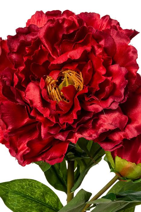 29.5" Silk Peony Spray W/bud Red