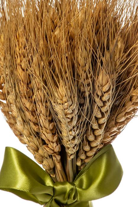 9.5" X 3.5" Wheat Grass Stand Bouquet Natural