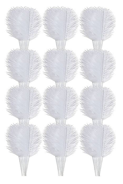 6" Cycus Leaves White Bx/144