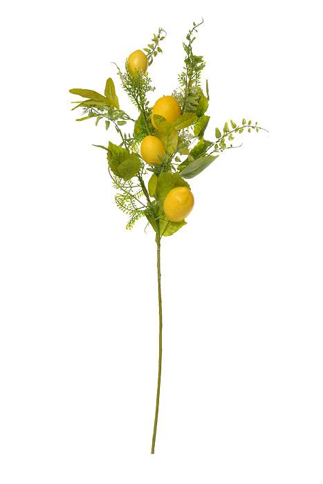 32" Lemon Spray Yellow