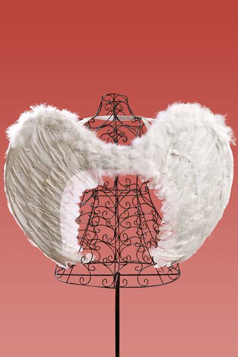 21.25" X 31.75" Angel Wing White