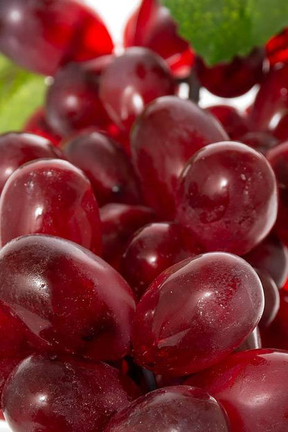 12" Grape Cluster Red