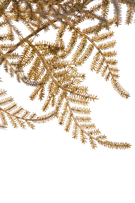 45" Artificial Leather Fern Bundle Sage