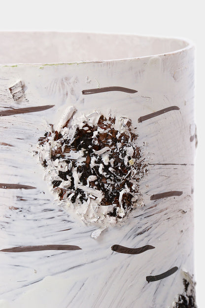 5.5"/6"  Birch Pot Set/2 Natural