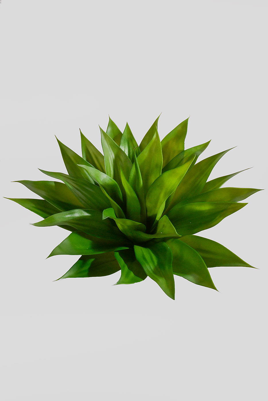 20" X 24" Artificial Agave Plant Green