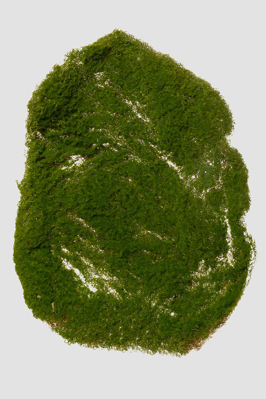 16" X 20" Moss Sheet Green