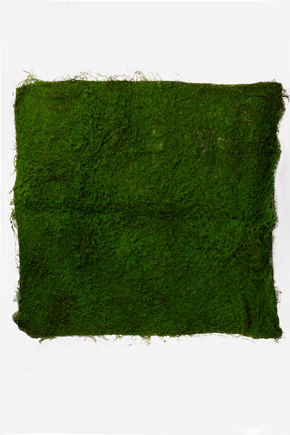 40" X 40" Moss Sheet Green