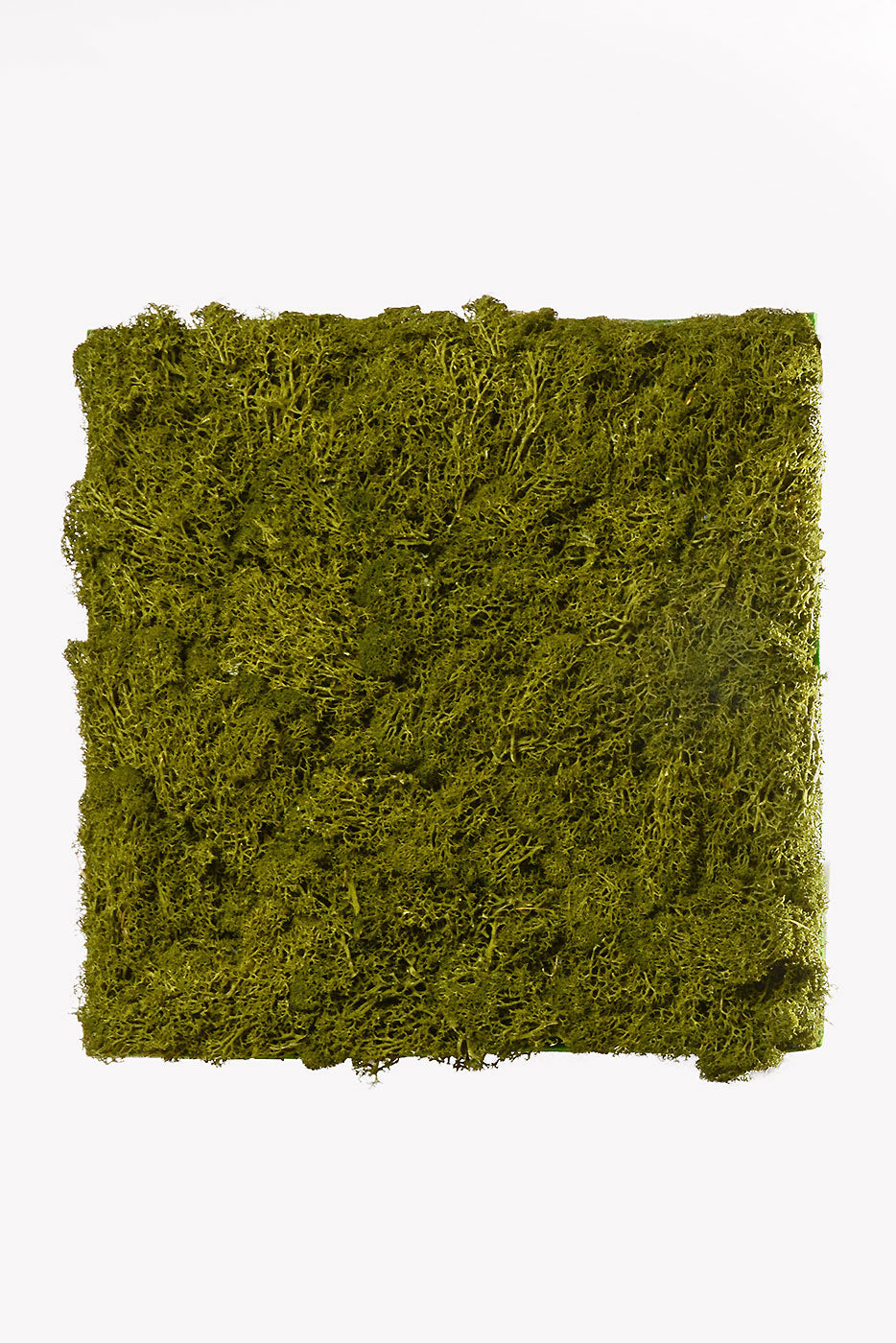 12" X 12" Moss Sheet Green