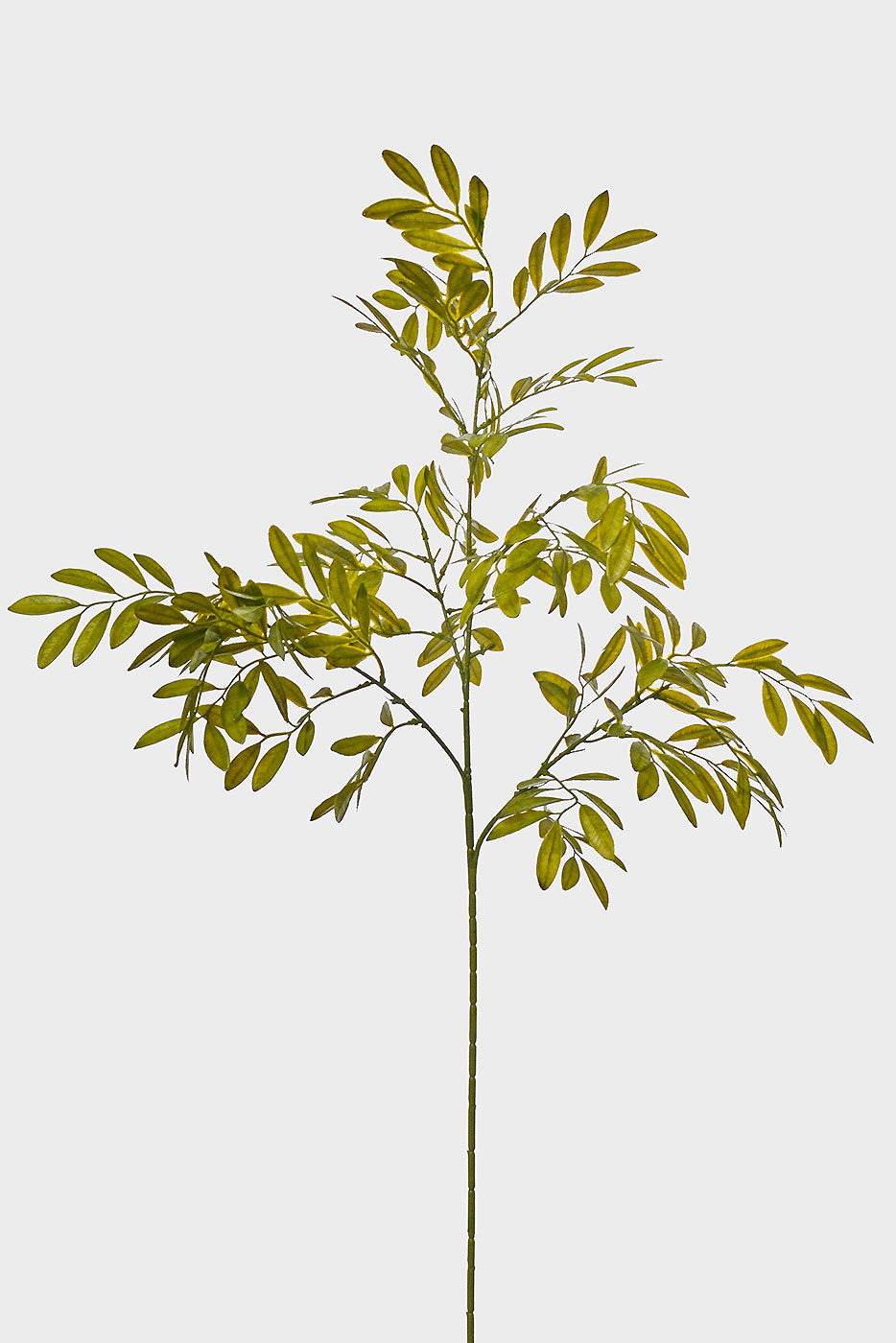 40" Artificial Ruscus Leaf Spray Green