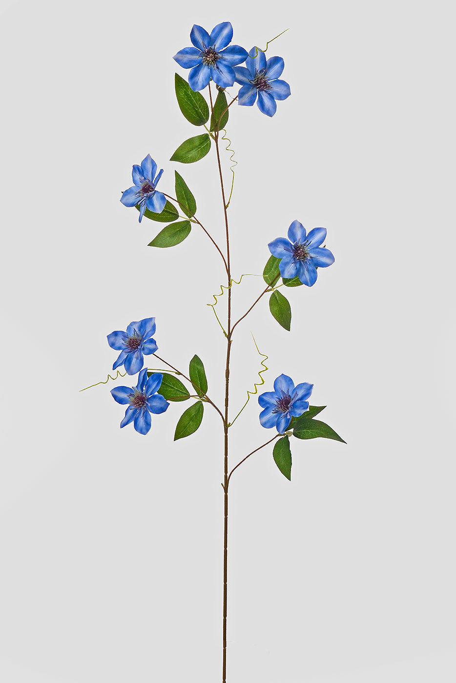 41" Silk Clematis Spray Blue