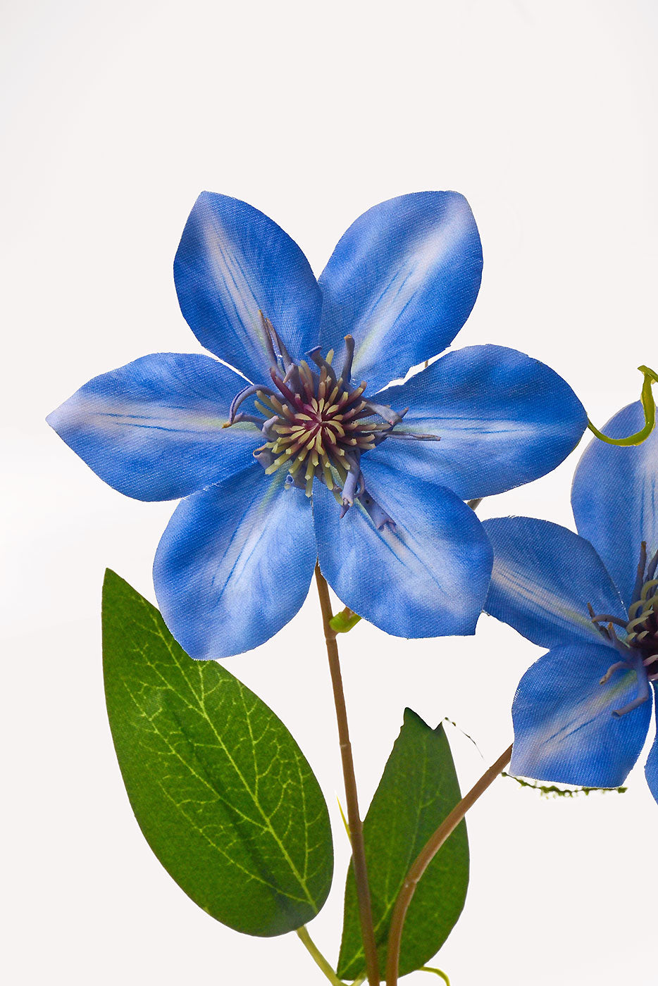 41" Silk Clematis Spray Blue