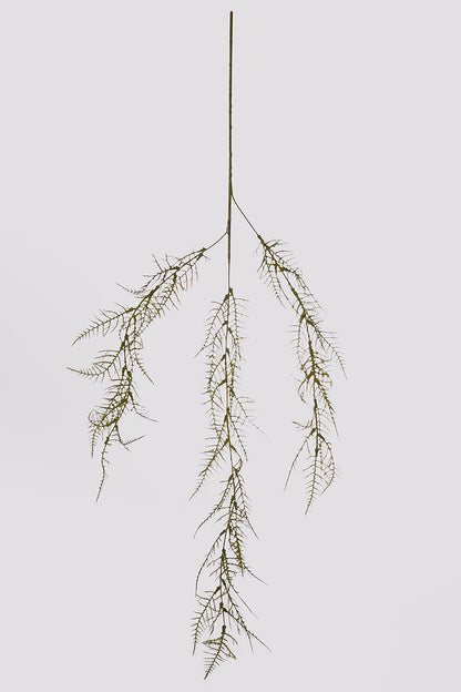 40" Asparagus Fern Spray  Green