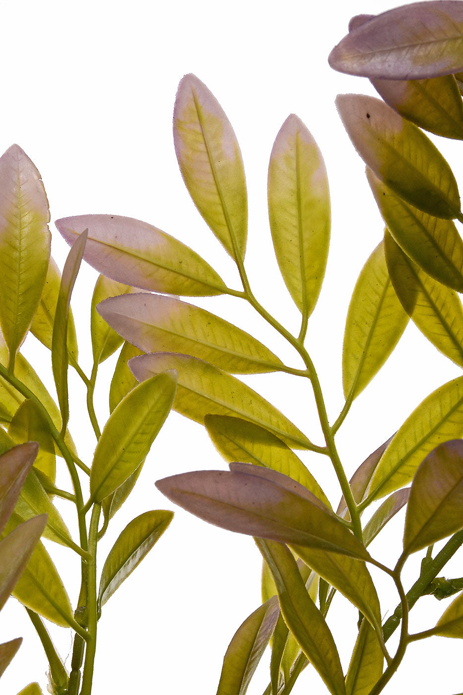40" Artificial Ruscus Leaf Spray Green/Lavender