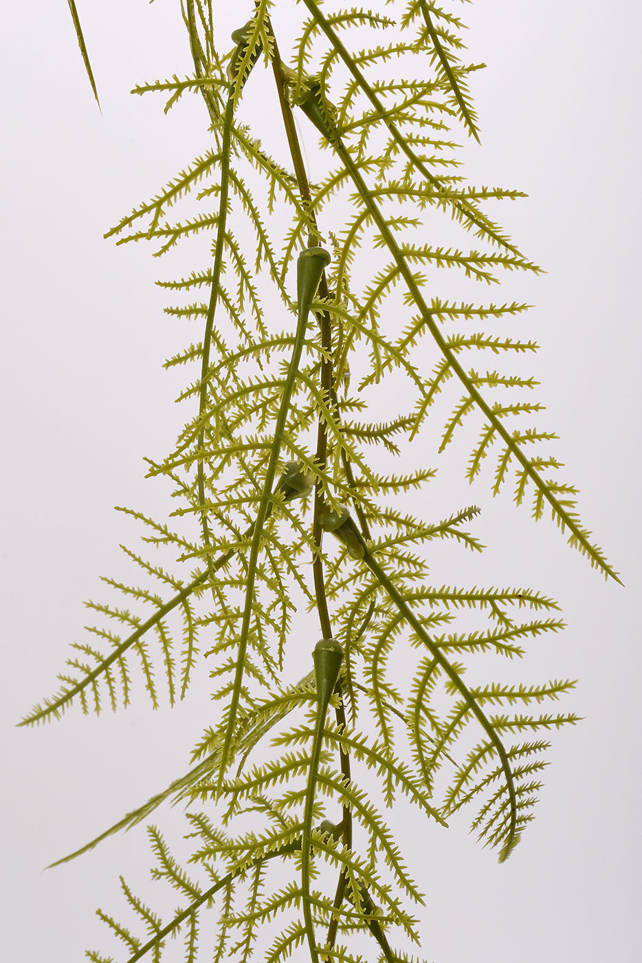 40" Asparagus Fern Spray Light Green