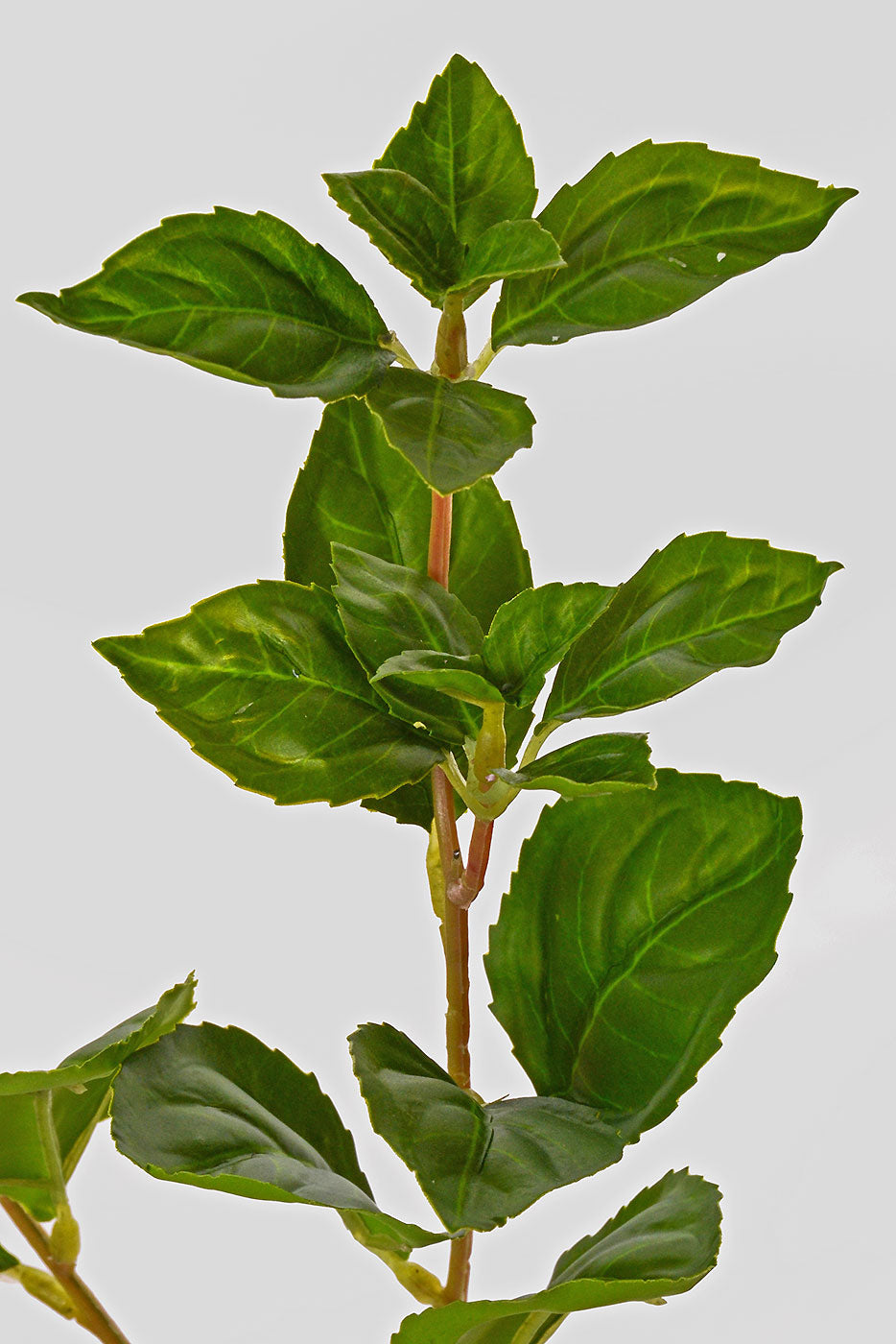 22" Artificial Jasmine Leaf Green