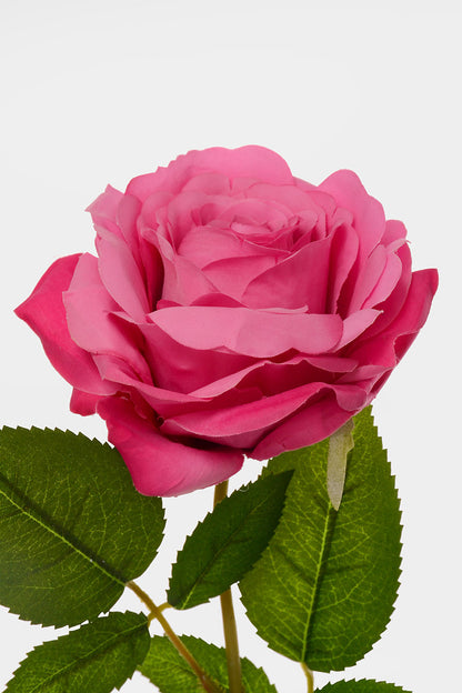 31" Silk Rose Spray Plant Fuchsia