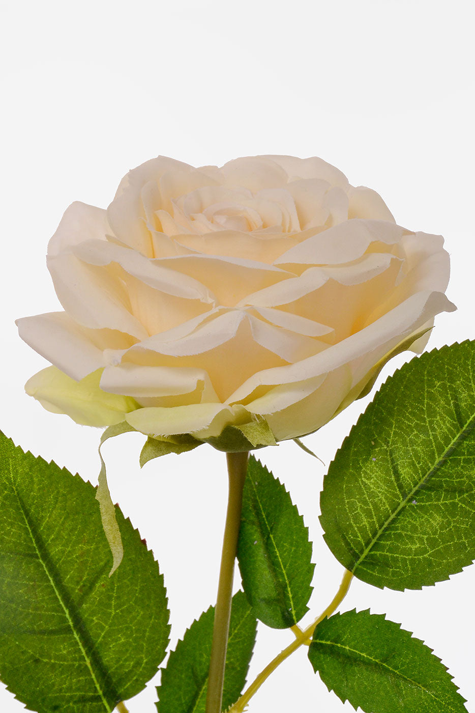 31" Silk Rose Spray Ivory