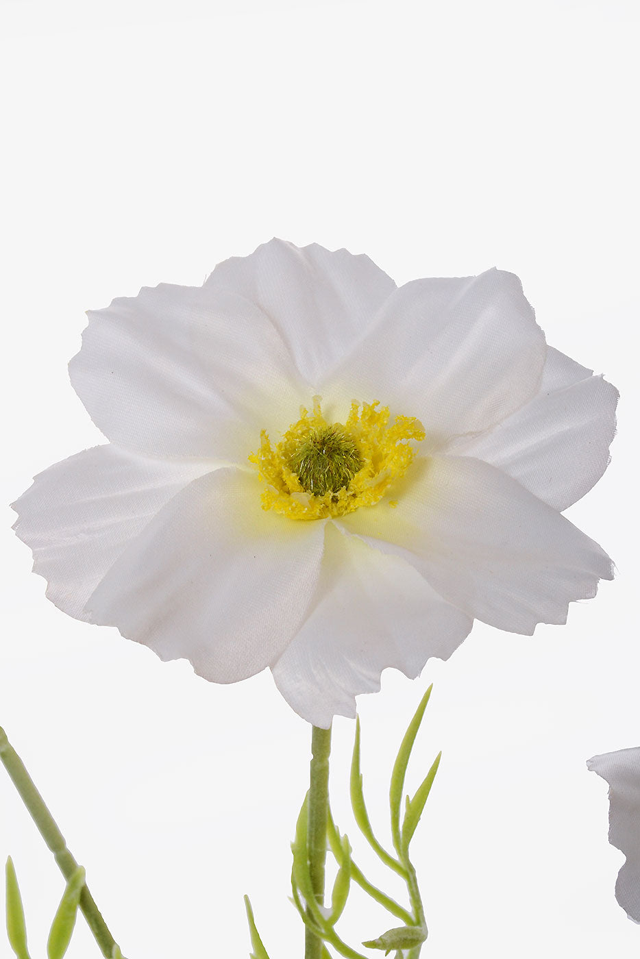 23.5" Silk Cosmos Spray White
