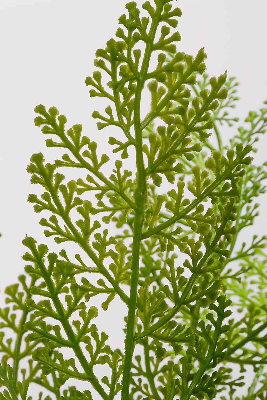 18" Artificial Crispa Bush