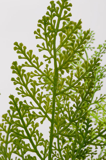 18" Artificial Crispa Bush