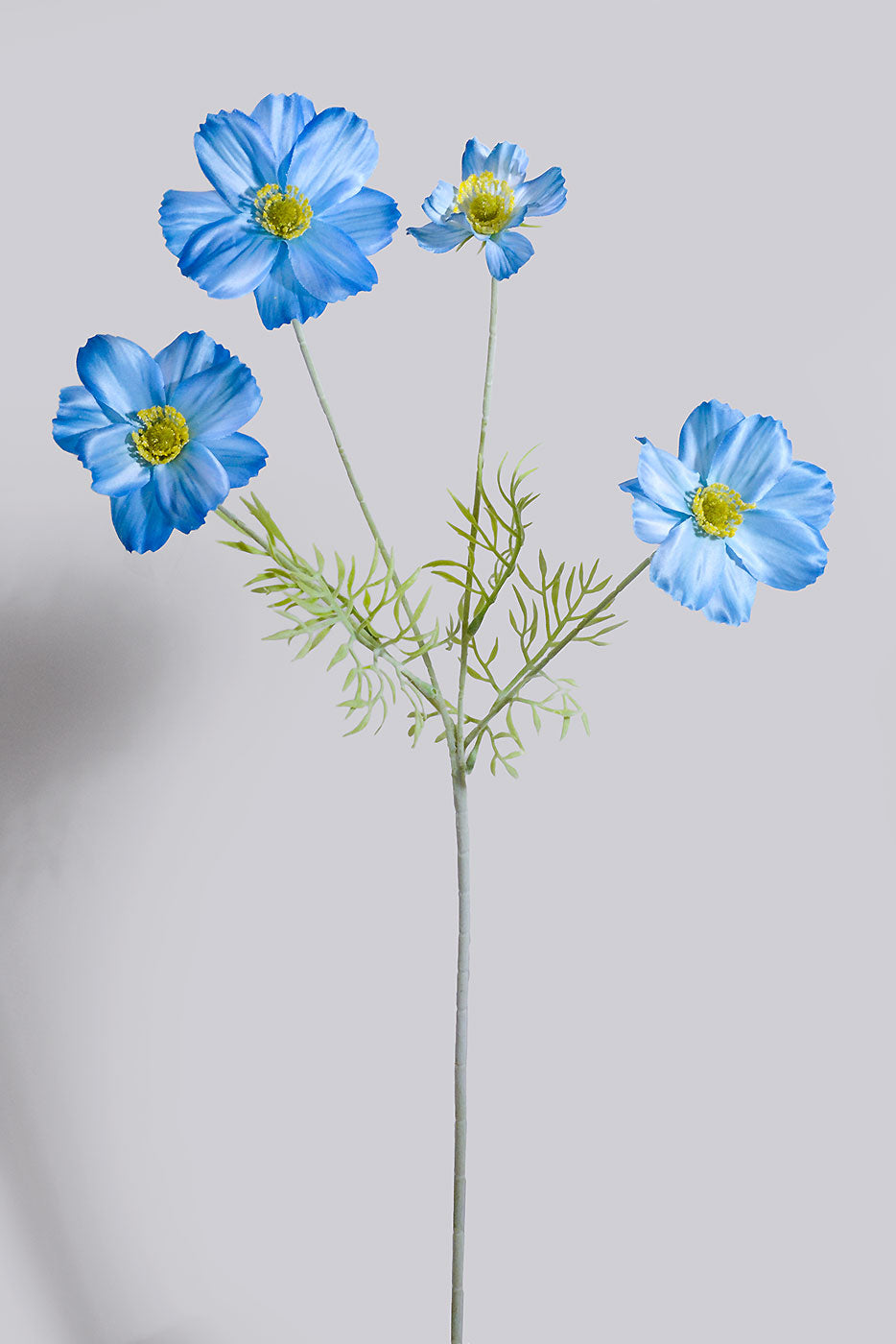 23.5" Silk Cosmos Spray Blue