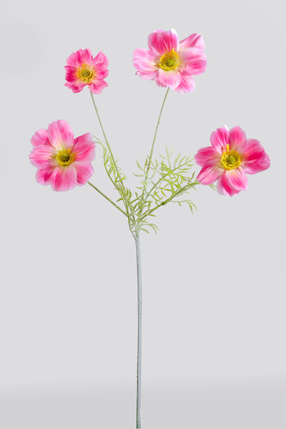 23.5" Silk Cosmos Spray Pink