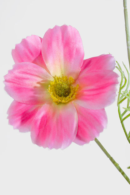 23.5" Silk Cosmos Spray Pink