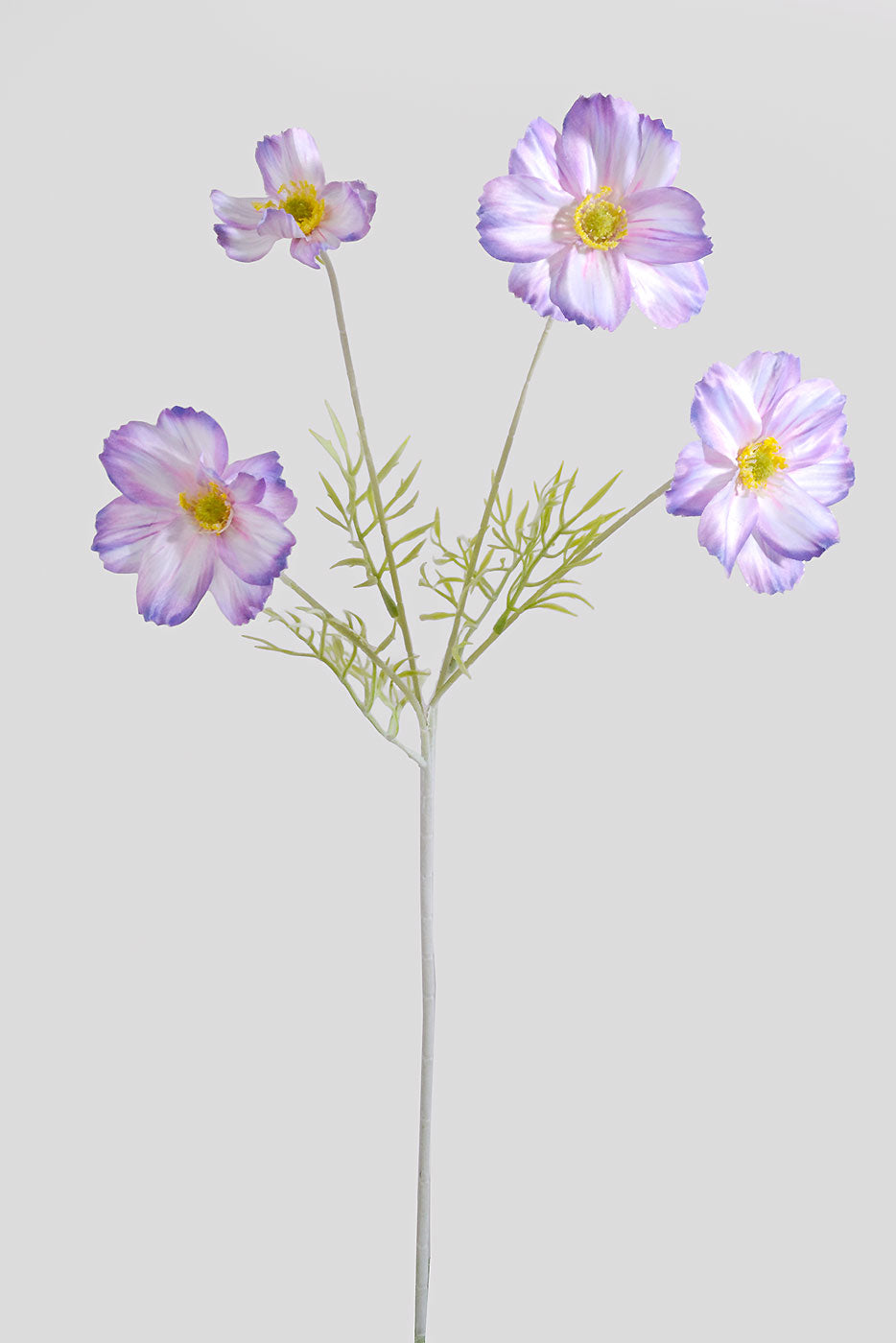 23.5" Silk Cosmos Spray Lavender