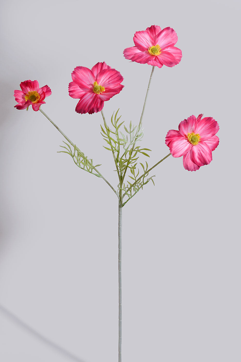 23.5" Silk Cosmos Spray Fuchsia