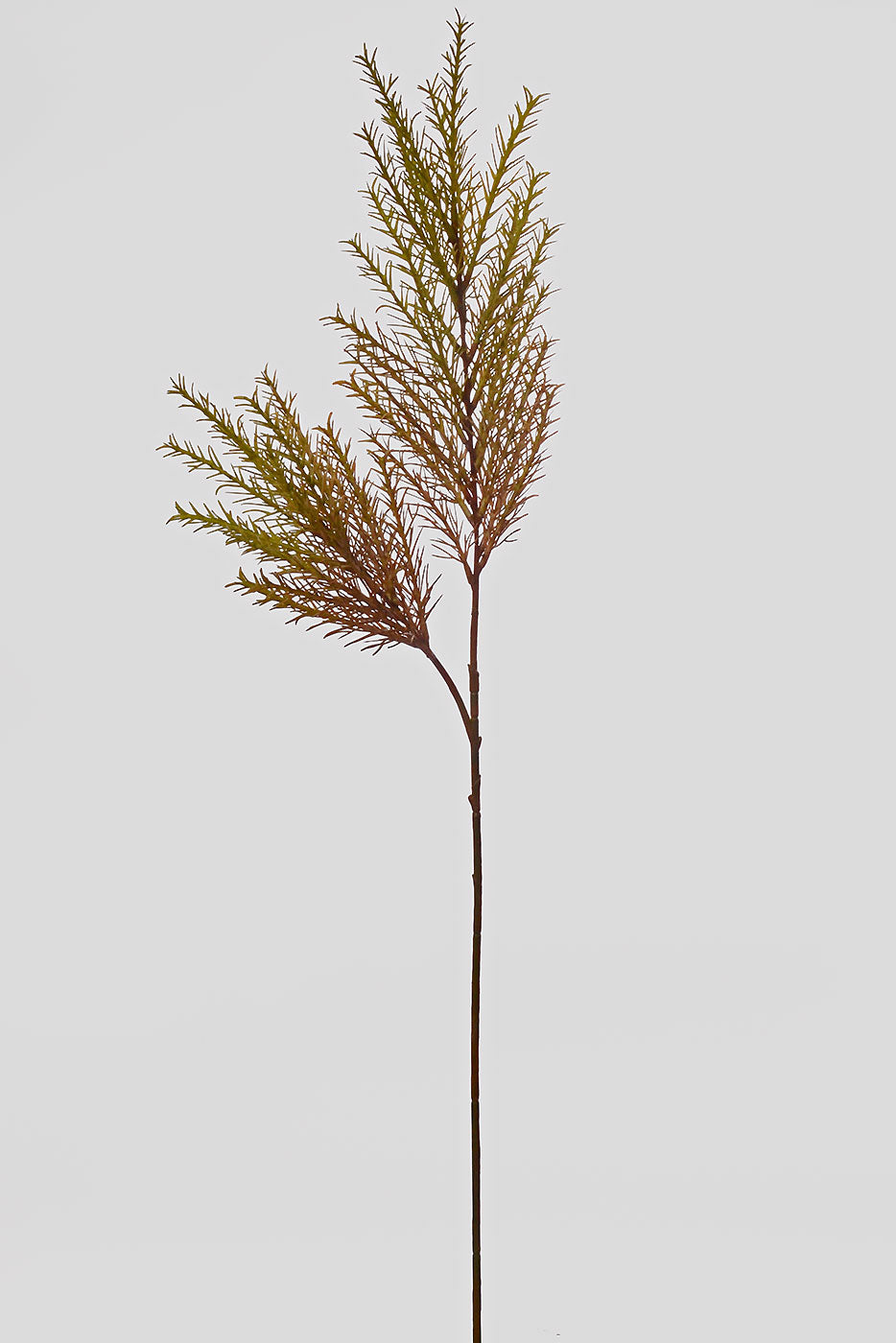 29" Clubmoss Spray Light Green