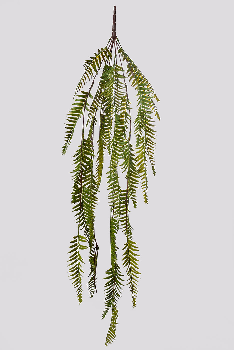 42" Fern Hanging Bush Green