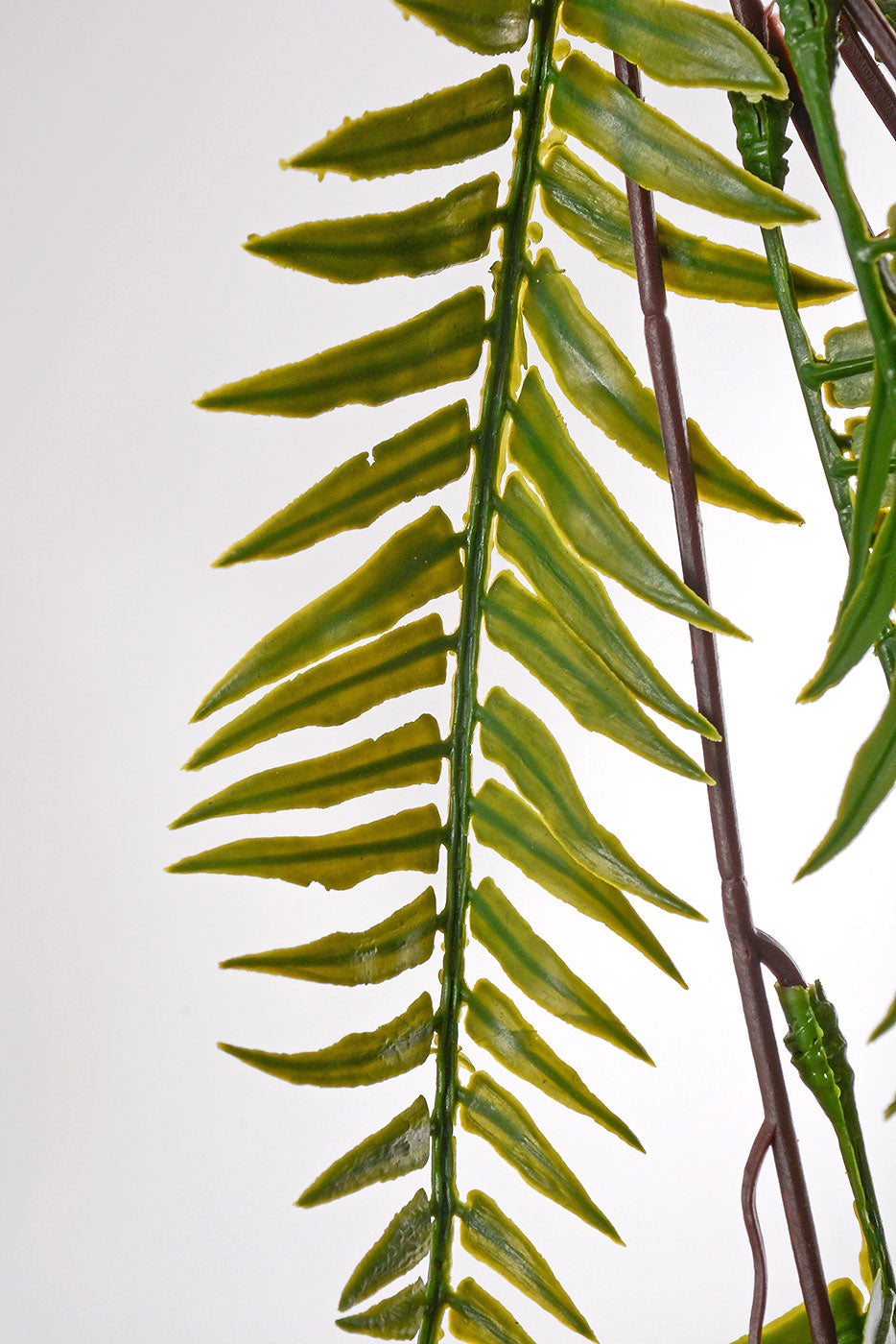 42" Fern Hanging Bush Green