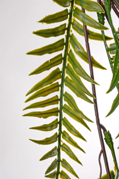 42" Fern Hanging Bush Green