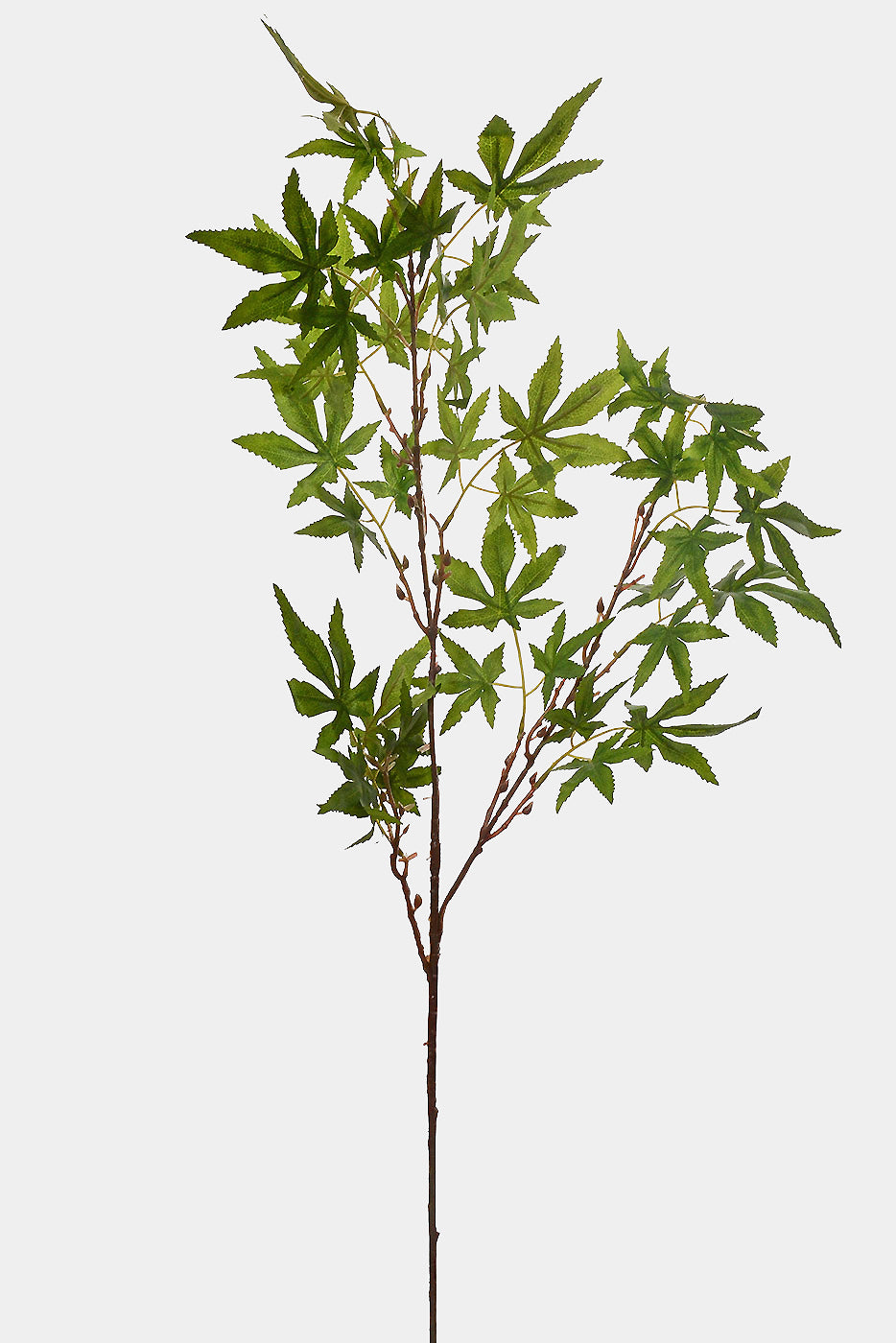 38.5" Maple Leaf Branch Green