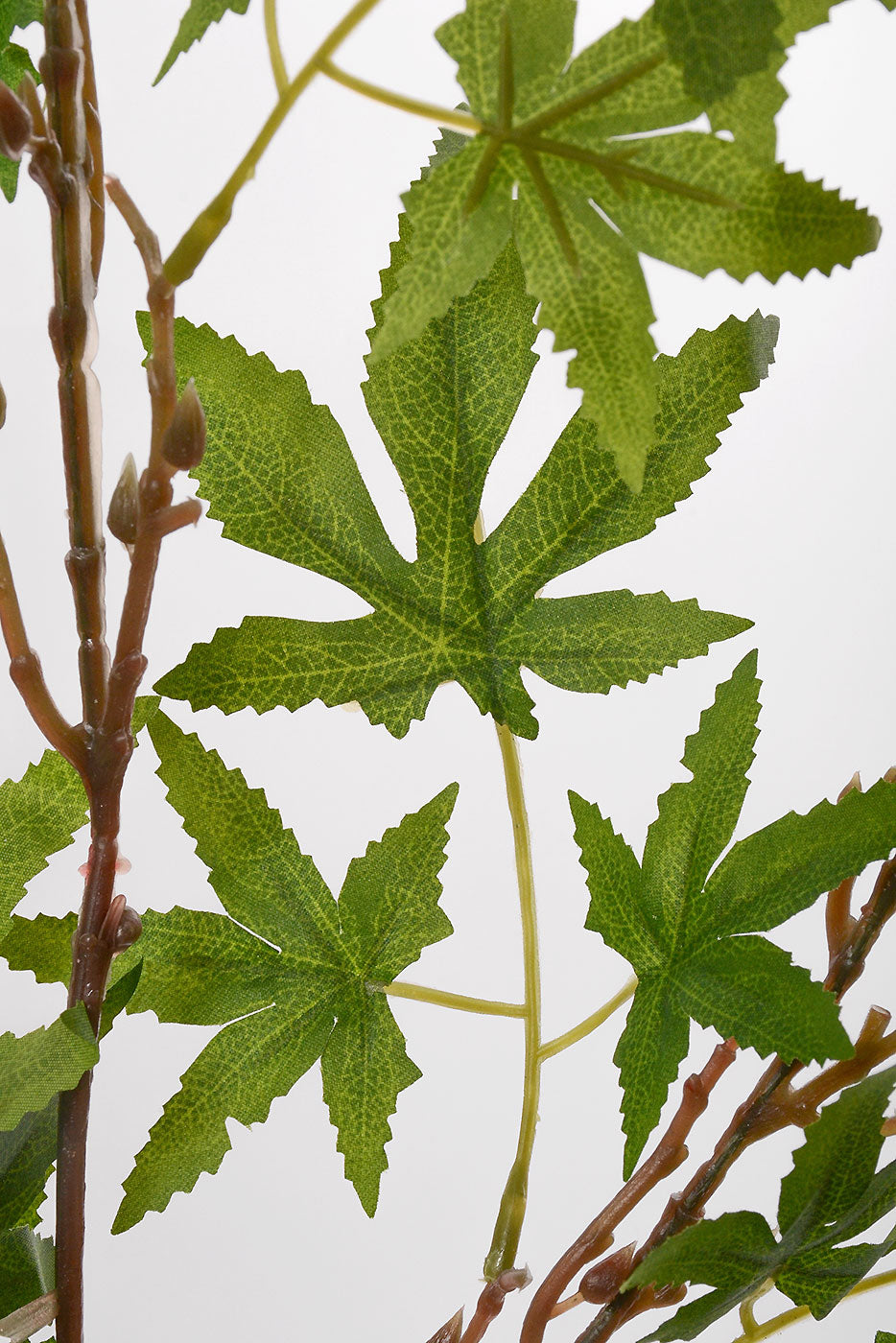 38.5" Maple Leaf Branch Green