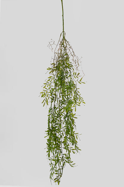 38"  Smilax Hanging Bush Green